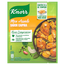 Tempero Meu Assado Sabor Caipira / Rustic Style Seasoning Mix - Knorr (23g)