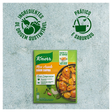 Tempero Meu Assado Sabor Caipira / Rustic Style Seasoning Mix - Knorr (23g)