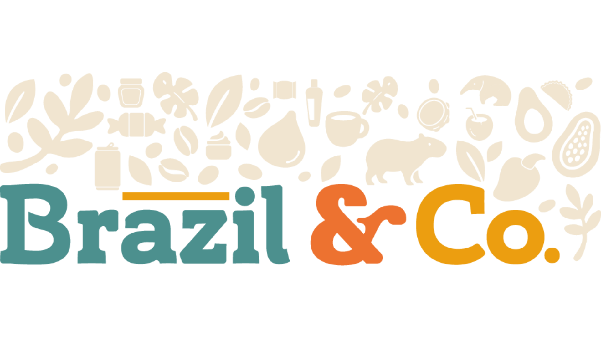 Brazil & Co. Street Food Festival