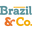 Brazil & Co. logo
