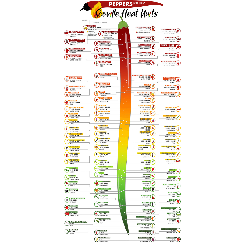 Mix Pimenta Misturada / Chili Peppers Mix - D'Horta (310g)